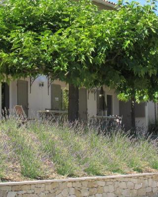 Résidence de gîtes La Sidoine du Mont-Ventoux