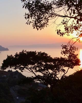 La cage aux folles B&B