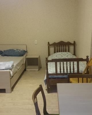 Guest House Econom