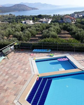 Stelios Apartments