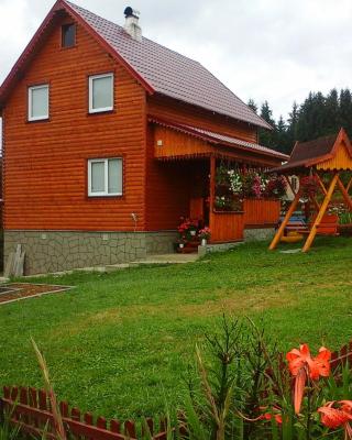 Romashka Guest House