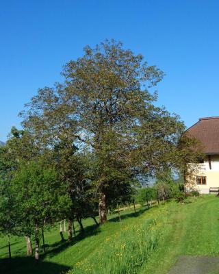 Chalets Alpin Kronhof