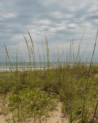 South Padre Island Beach Rentals