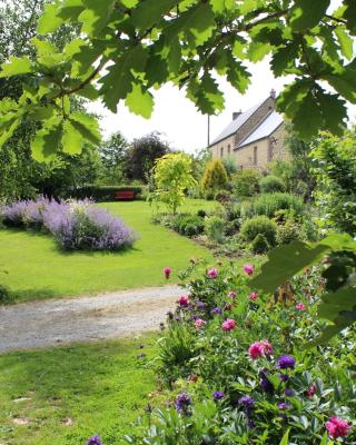 Au Jardin Des Violettes