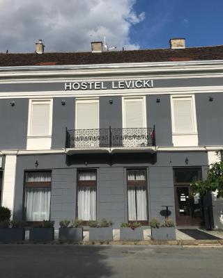 Hostel Levicki