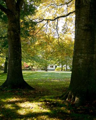 Silverstream Lodge