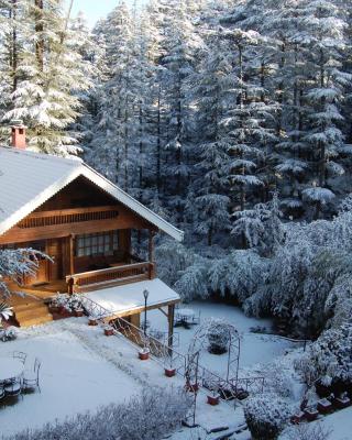 The Chalets Naldehra