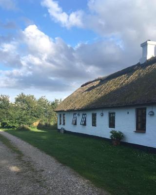 Øster Mogensbæk #4