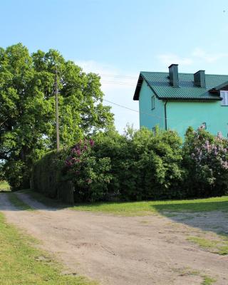 AGROKWATERA STARY DĄB