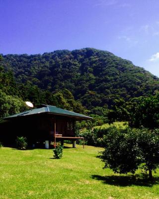 Lemon House Monteverde