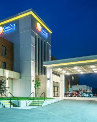 Comfort Inn & Suites Merritt