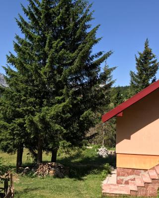 Durmitor Apartments Holiday