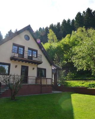 Holiday Home in Hellenthal Forest Retreat