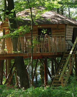 B&B La Cabane du Bois Dormant