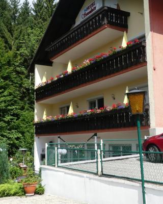 Hotel Sonnleitn