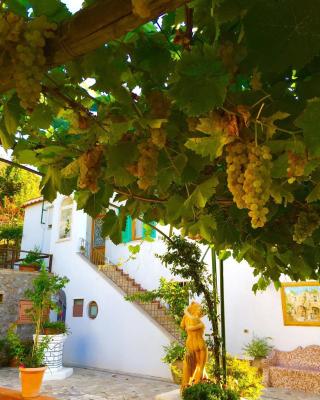 B&B Il Grappolo