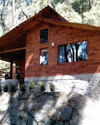 Cabañas Alpinas López Fontes