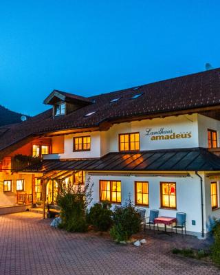 Resort Amadeus-Landhaus Amadeus