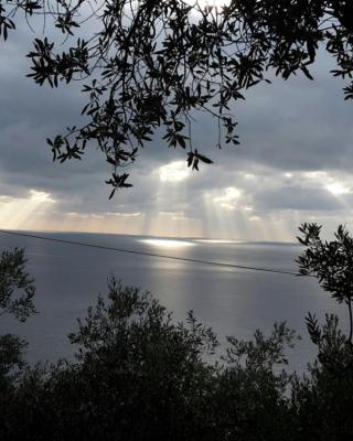 Corner of Paradise near Cinque Terre