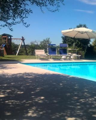 Al Cappellino