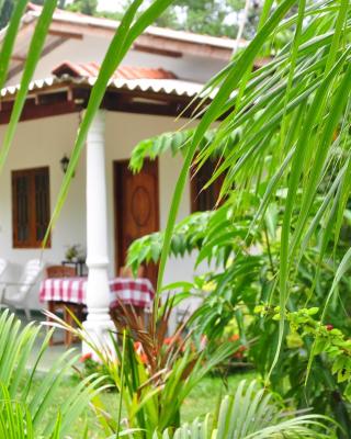 Sigiriya Amenity Home Stay