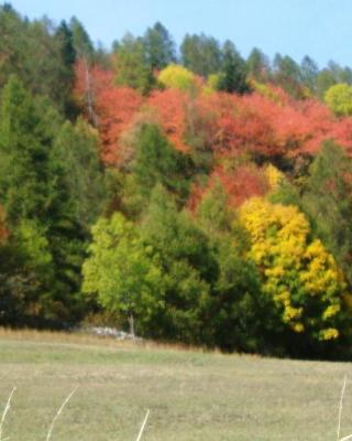 Bed & Breakfast Barba Bertu