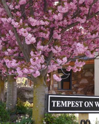 Tempest on Wanaka