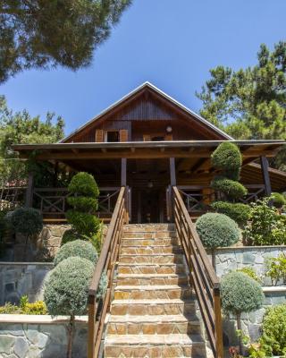 Ricky Chalet Near Troodos