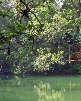 Campamento Rio Lacanja