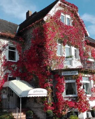 Hotel Pellmühle