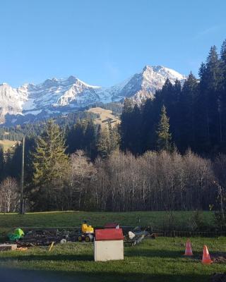 Chalet Wildbach