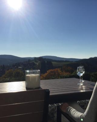 Lina's Ferienwohnungen - zwei moderne FeWos mit Sauna im Haus und fantastischem Ausblick