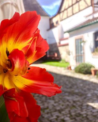 3 Seiten Ferienwohnung