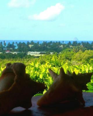 Studios Carribean Sea View