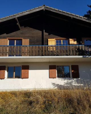Chalet Bergmann