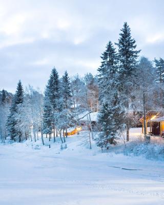 Hotel Vartiosaari The Aurora Island