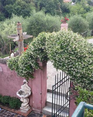 Le Donne di Bargecchia