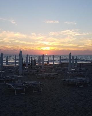 Oasy Apartament