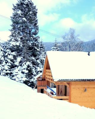 Domek Maja