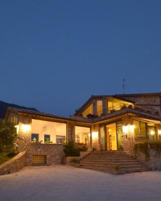 Colle Degli Olivi snc