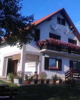 Guest House Adrijana