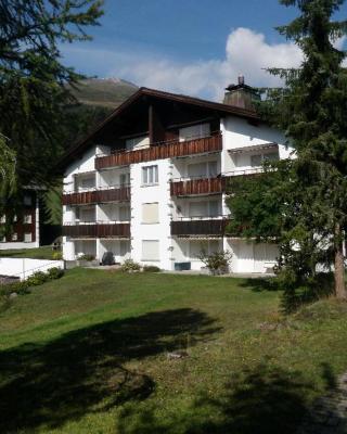 Palousa (150 Ro)