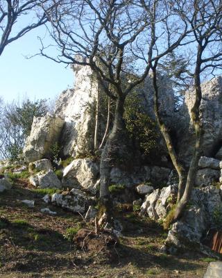 Le Rocher du Samoyède