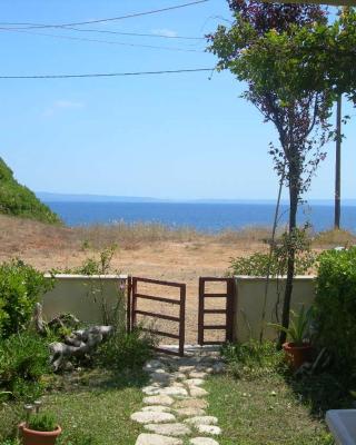 House in Front of the Sea