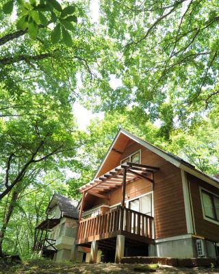 Izumigo AMBIENT Yatsugatake Cottage