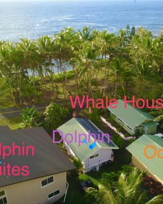 Whale House at Kehena Beach