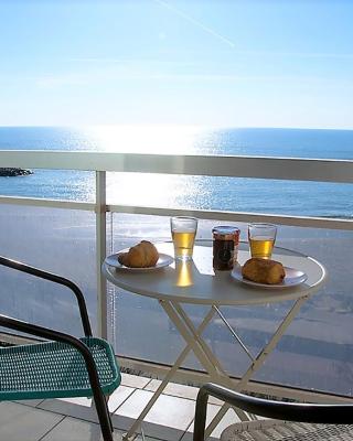 Superbe appartement sur la plage - Le Zénith