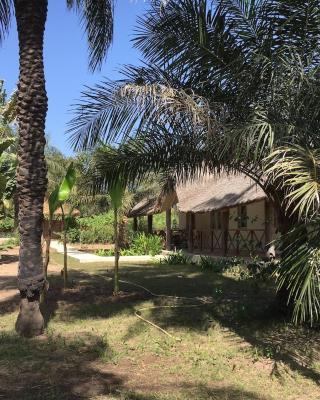 Les Maisons De Marco SENEGAL - B&B