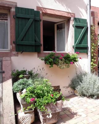 charmant petit appartement en Alsace