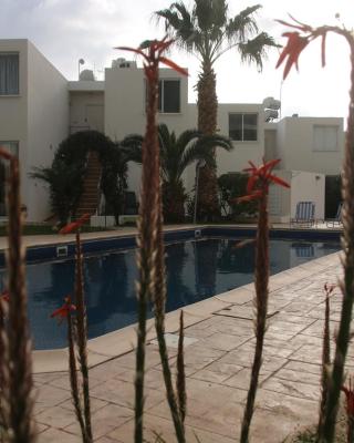 Evros Peyia & Coral Bay Seaview Apartment